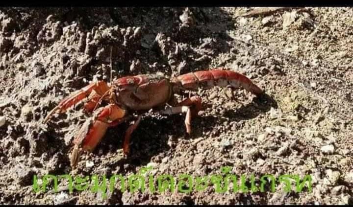 Kohmook The Sun Great Resort Ko Mook Εξωτερικό φωτογραφία